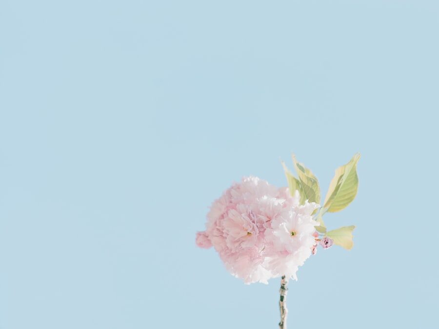 Minimalism