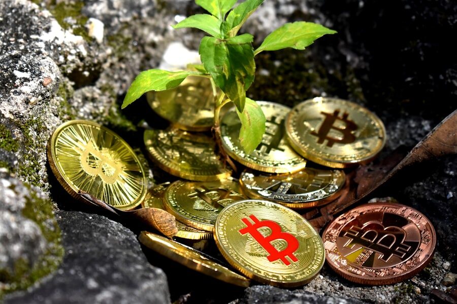 investment fundamentals