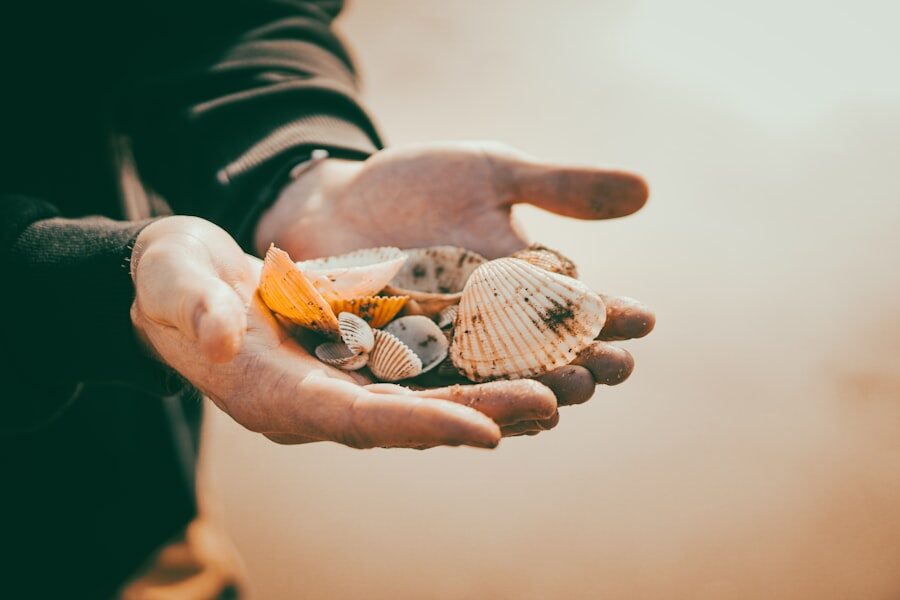 Photo save money and invest for beginners