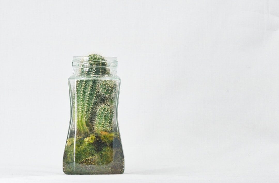 Photo save money insurance