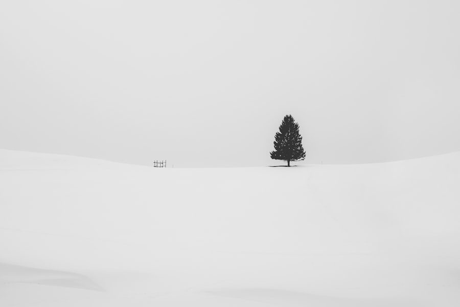 Photo Minimalism