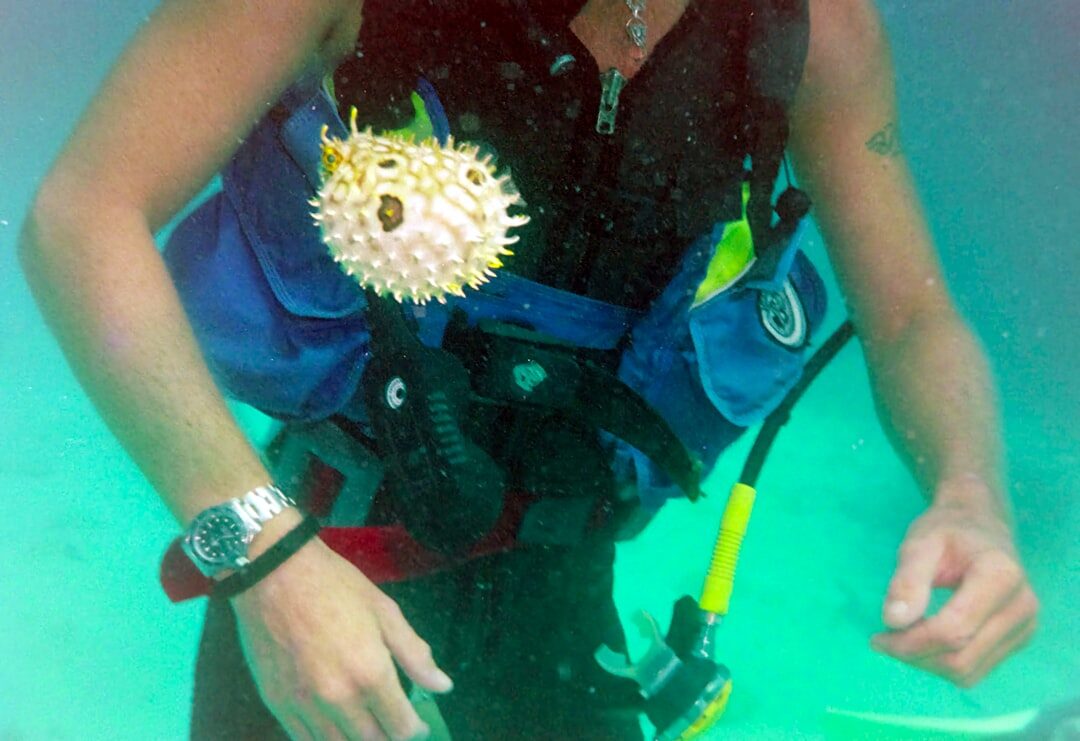 Photo Puffer