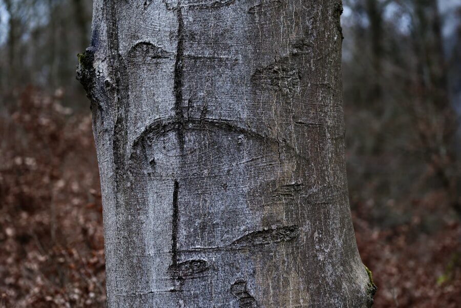 Photo stromkosten