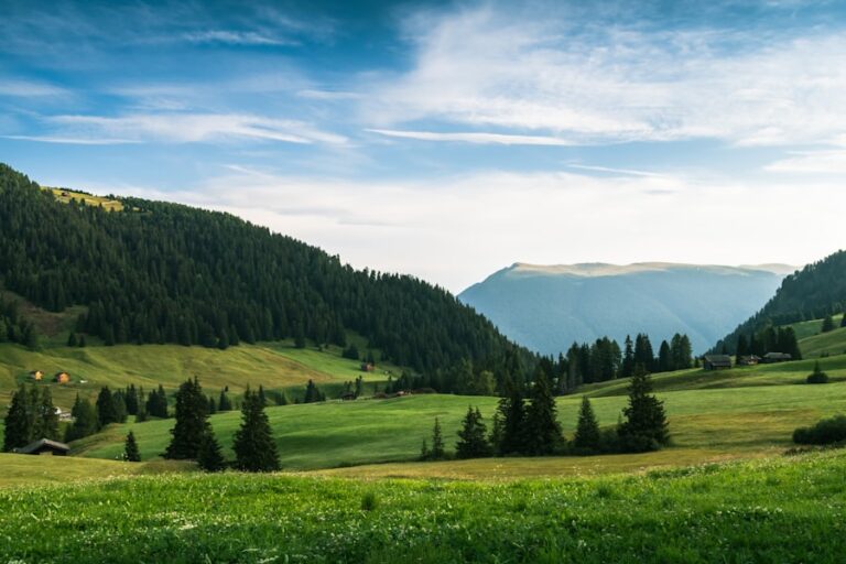 Photo mahnbescheid