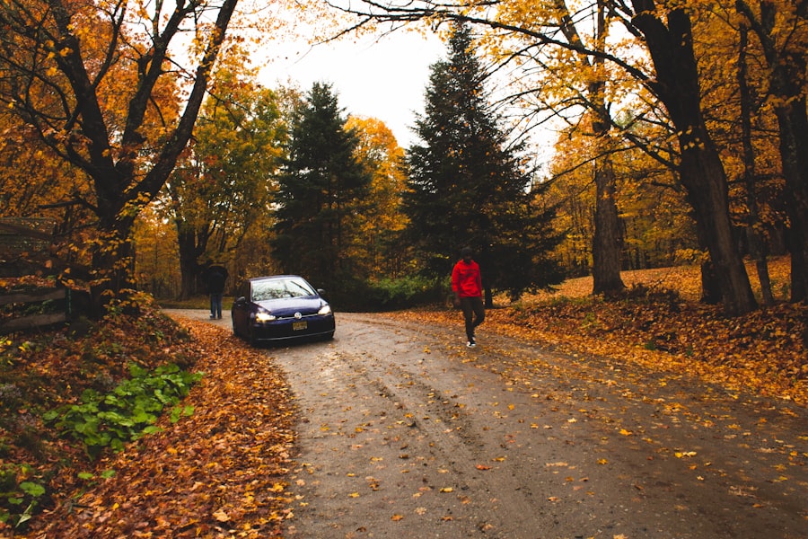 car insurance switch tips autumn