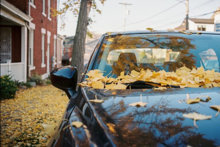 Photo car insurance switch tips autumn