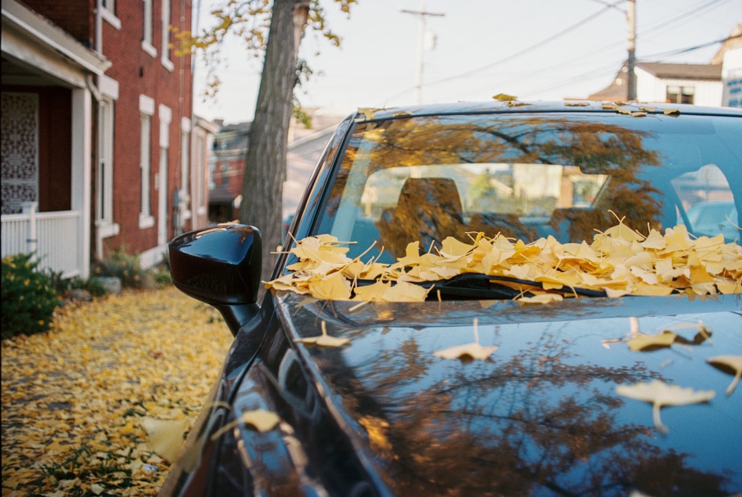 Photo car insurance switch tips autumn